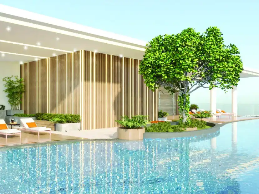 Rooftop pool terrace with loungers and a tree under a timber screen